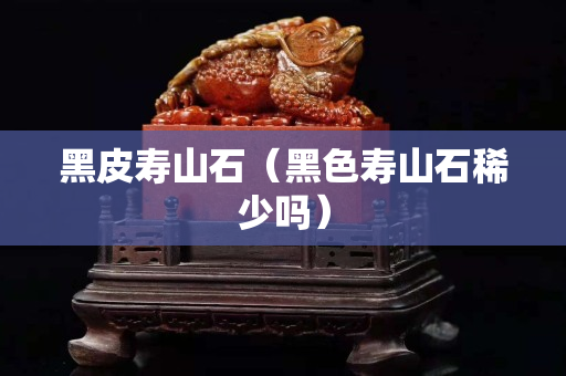 黑皮壽山石（黑色壽山石稀少嗎）