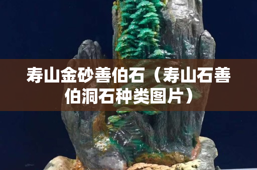 壽山金砂善伯石（壽山石善伯洞石種類圖片）