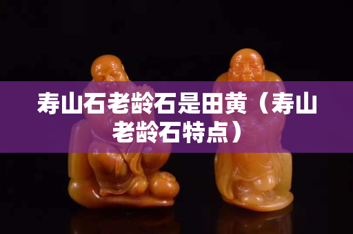 壽山石老齡石是田黃（壽山老齡石特點(diǎn)）
