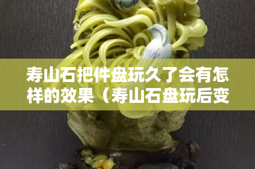 壽山石把件盤玩久了會有怎樣的效果（壽山石盤玩后變色嗎？）