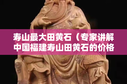 壽山最大田黃石（專家講解中國福建壽山田黃石的價格）