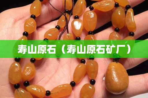 壽山原石（壽山原石礦廠）