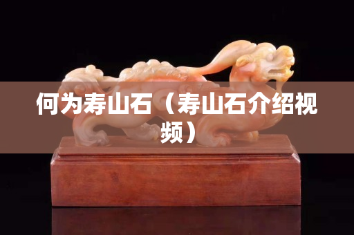 何為壽山石（壽山石介紹視頻）