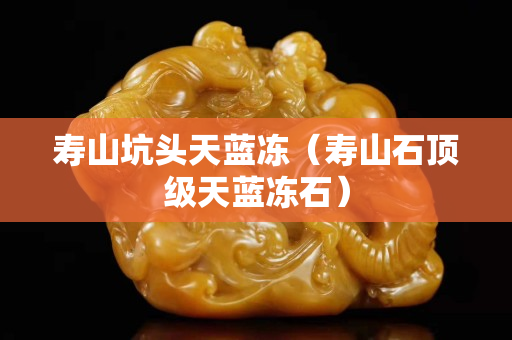 壽山坑頭天藍(lán)凍（壽山石頂級(jí)天藍(lán)凍石）