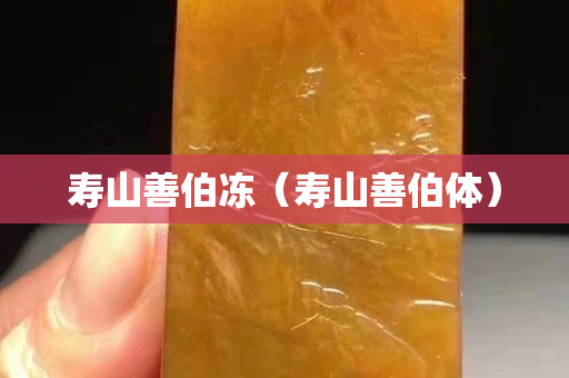 壽山善伯凍（壽山善伯體）