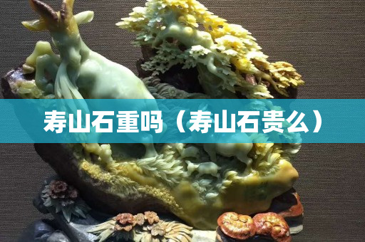 壽山石重嗎（壽山石貴么）