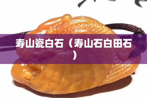 壽山瓷白石（壽山石白田石）