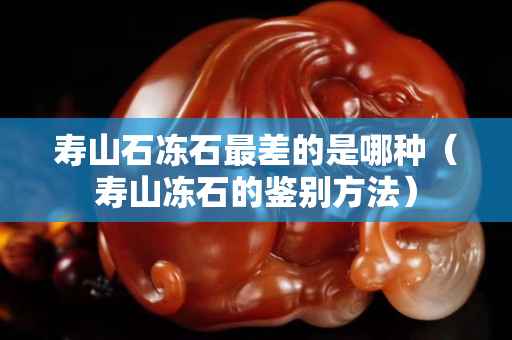 壽山石凍石最差的是哪種（壽山凍石的鑒別方法）
