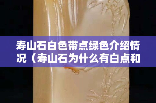 壽山石白色帶點(diǎn)綠色介紹情況（壽山石為什么有白點(diǎn)和黑點(diǎn)）