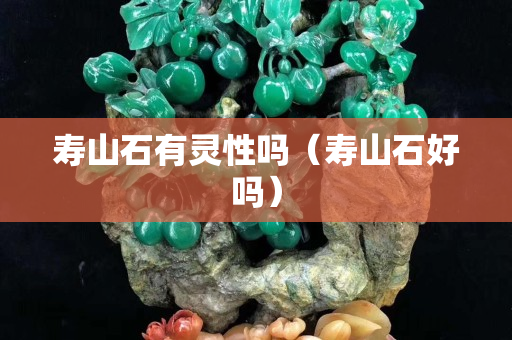 壽山石有靈性嗎（壽山石好嗎）