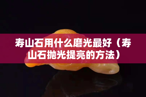 壽山石用什么磨光最好（壽山石拋光提亮的方法）