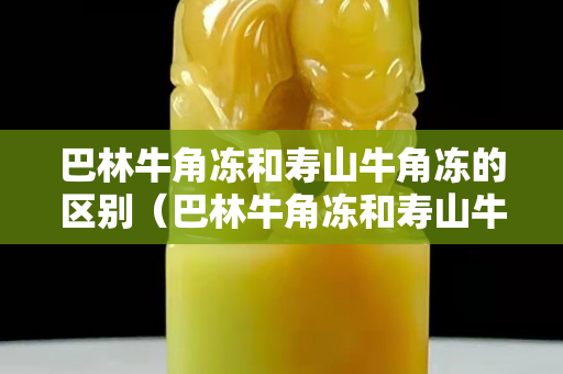 巴林牛角凍和壽山牛角凍的區(qū)別（巴林牛角凍和壽山牛角凍的區(qū)別圖片）