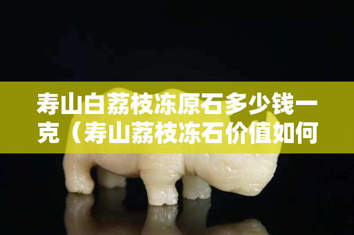 壽山白荔枝凍原石多少錢一克（壽山荔枝凍石價值如何）