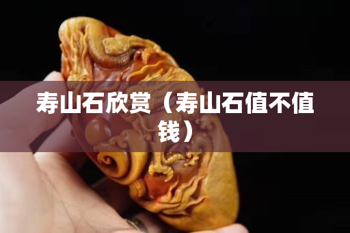 壽山石欣賞（壽山石值不值錢）