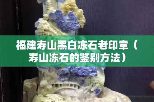 福建壽山黑白凍石老印章（壽山凍石的鑒別方法）