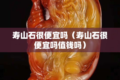 壽山石很便宜嗎（壽山石很便宜嗎值錢嗎）