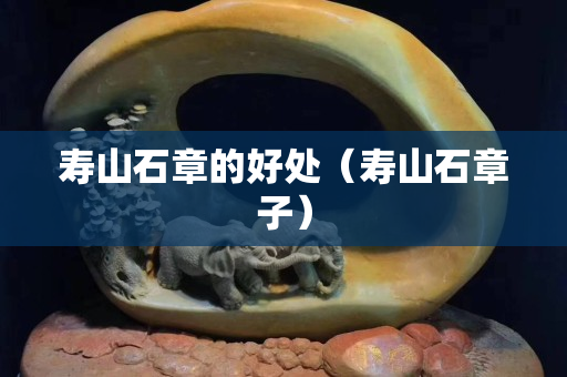 壽山石章的好處（壽山石章子）