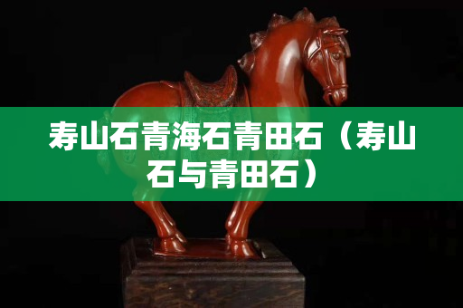 壽山石青海石青田石（壽山石與青田石）