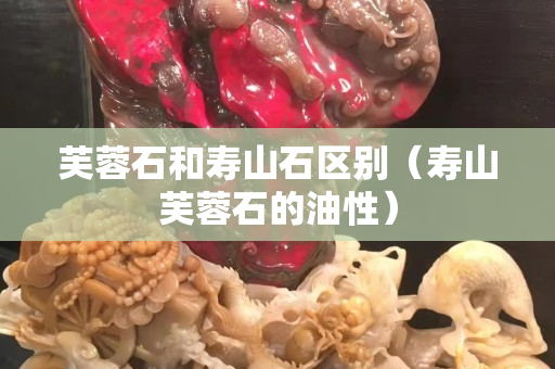 芙蓉石和壽山石區別（壽山芙蓉石的油性）