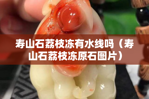 壽山石荔枝凍有水線嗎（壽山石荔枝凍原石圖片）