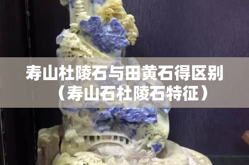 壽山杜陵石與田黃石得區(qū)別（壽山石杜陵石特征）