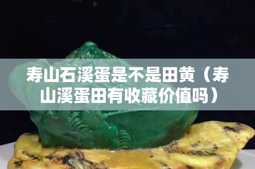 壽山石溪蛋是不是田黃（壽山溪蛋田有收藏價值嗎）