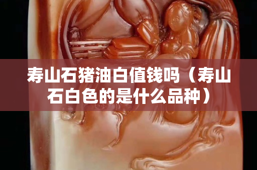 壽山石豬油白值錢嗎（壽山石白色的是什么品種）