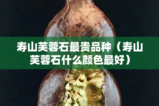 壽山芙蓉石最貴品種（壽山芙蓉石什么顏色最好）