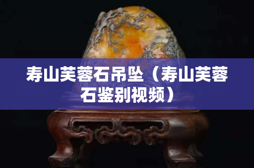 壽山芙蓉石吊墜（壽山芙蓉石鑒別視頻）