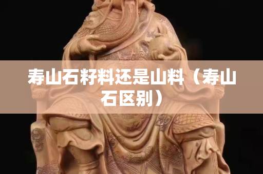 壽山石籽料還是山料（壽山石區別）