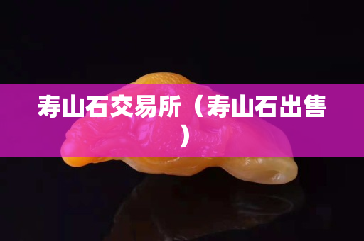壽山石交易所（壽山石出售）