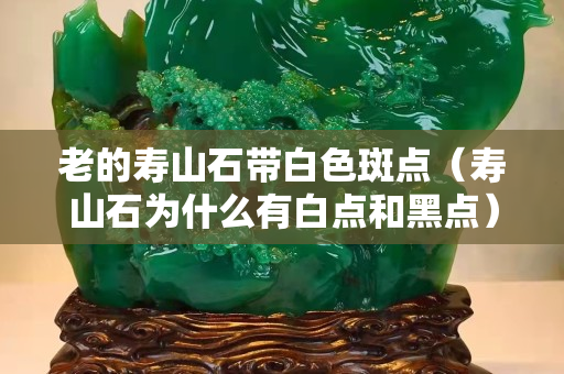 老的壽山石帶白色斑點（壽山石為什么有白點和黑點）