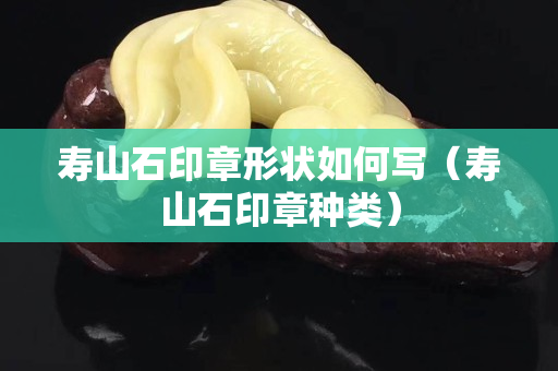 壽山石印章形狀如何寫（壽山石印章種類）