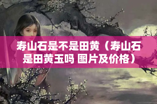 壽山石是不是田黃（壽山石是田黃玉嗎 圖片及價格）