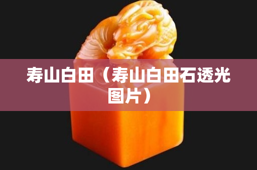 壽山白田（壽山白田石透光圖片）
