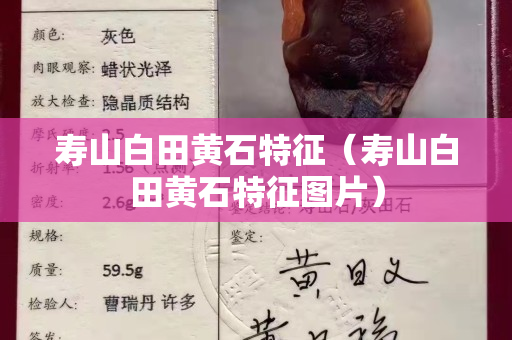 壽山白田黃石特征（壽山白田黃石特征圖片）