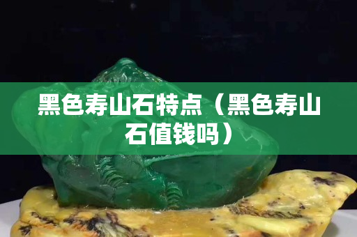 黑色壽山石特點（黑色壽山石值錢嗎）