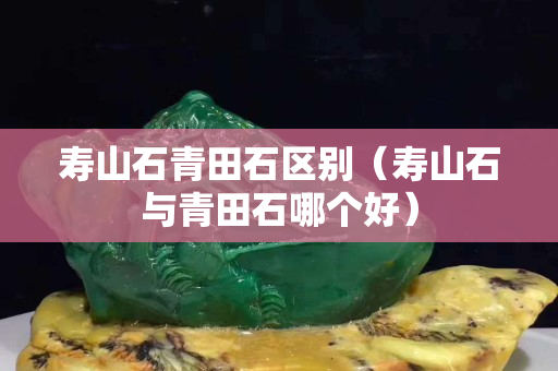 壽山石青田石區別（壽山石與青田石哪個好）
