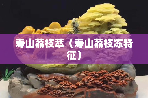 壽山荔枝萃（壽山荔枝凍特征）