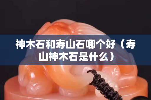 神木石和壽山石哪個好（壽山神木石是什么）