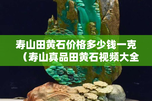 壽山田黃石價格多少錢一克（壽山真品田黃石視頻大全）