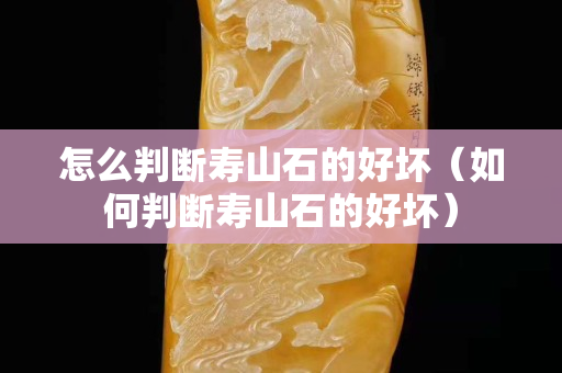 怎么判斷壽山石的好壞（如何判斷壽山石的好壞）
