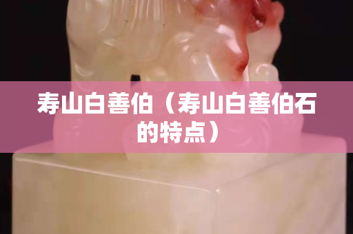 壽山白善伯（壽山白善伯石的特點）