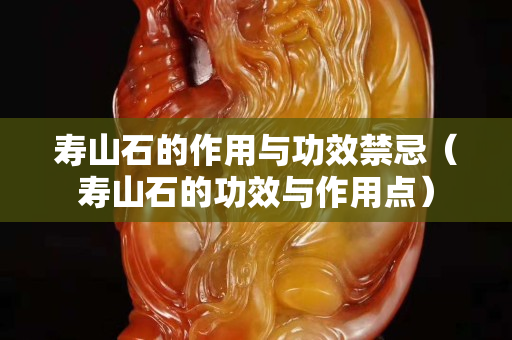 壽山石的作用與功效禁忌（壽山石的功效與作用點）