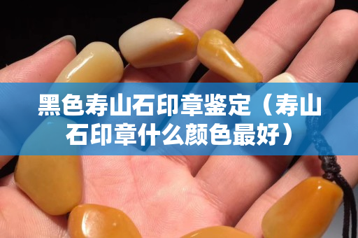 黑色壽山石印章鑒定（壽山石印章什么顏色最好）