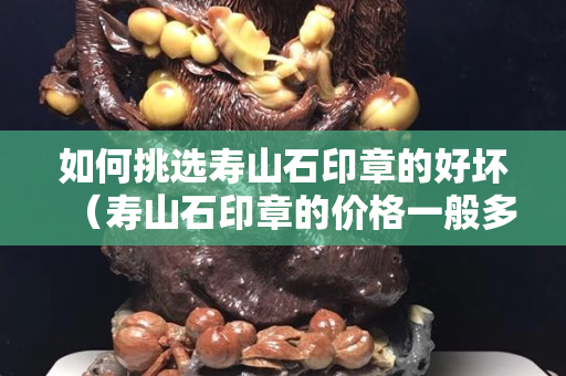 如何挑選壽山石印章的好壞（壽山石印章的價格一般多少錢）
