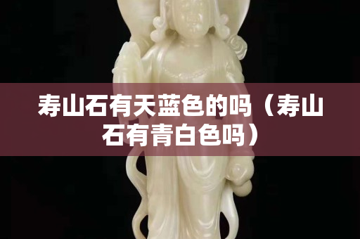 壽山石有天藍色的嗎（壽山石有青白色嗎）