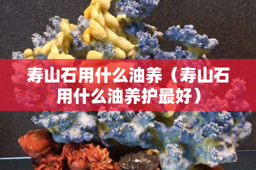 壽山石用什么油養（壽山石用什么油養護最好）