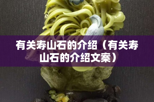 有關(guān)壽山石的介紹（有關(guān)壽山石的介紹文案）