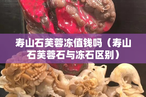 壽山石芙蓉凍值錢嗎（壽山石芙蓉石與凍石區別）